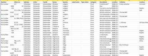 Example of a section of the working spreadsheet